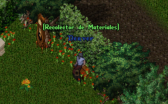 Contratos de Materiales
